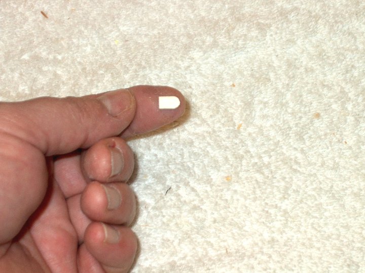 135.jpg
