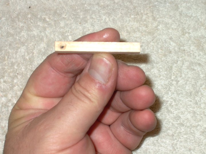 240.jpg