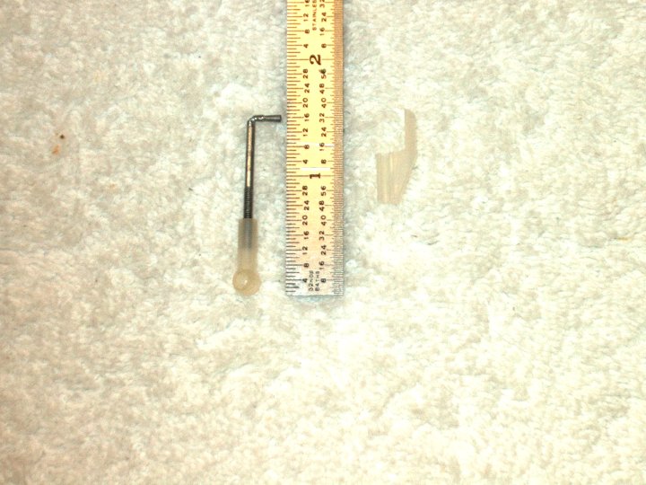 302.jpg