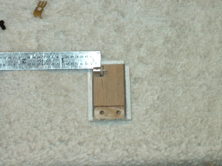 446.jpg