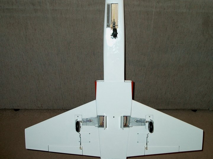 453.jpg
