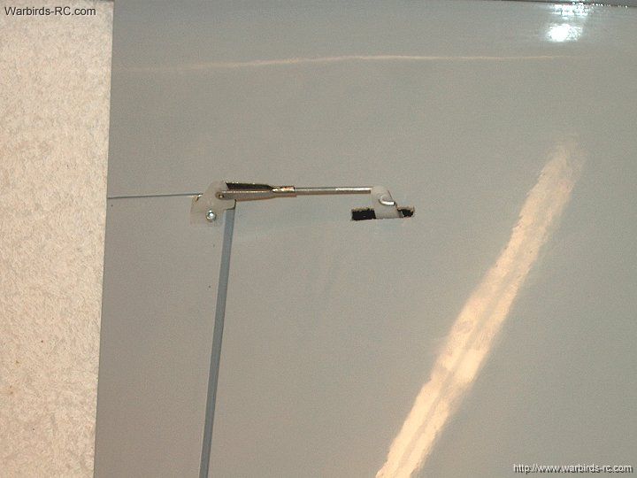 245.jpg
