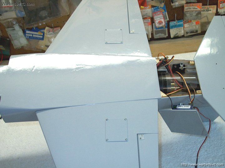 255.jpg