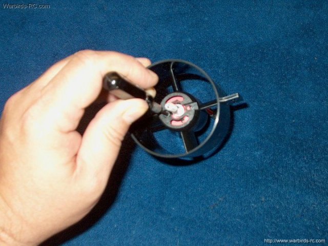 kamig15/336.jpg