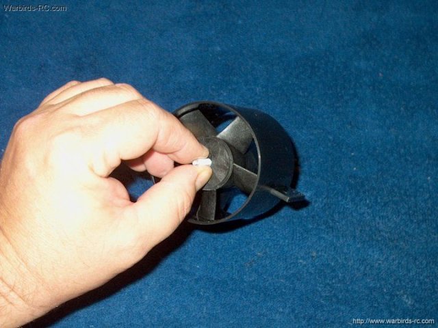 kamig15/337.jpg