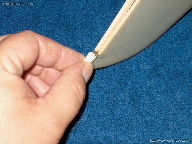 kamig15/591.jpg