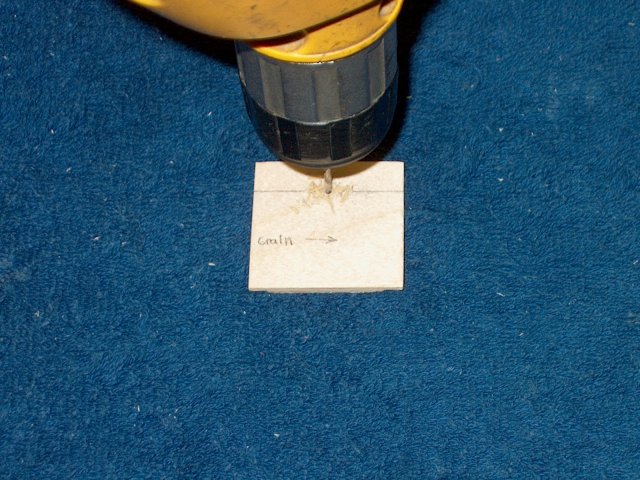 wemotecf16/73.jpg